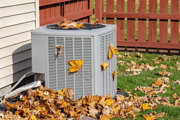 Best HVAC Maintenance Near Me  in Cortland, IL
